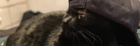 Leaked ab1gailv87 header onlyfans leaked