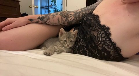 Leaked abigayle.z header onlyfans leaked