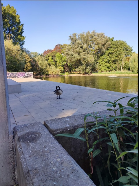 Leaked adi_id0lls header onlyfans leaked