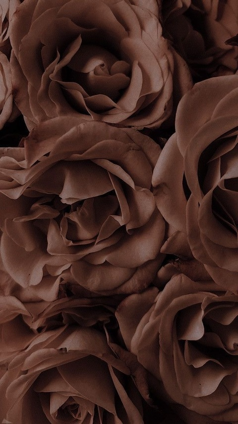 Leaked ahtzirisantillan header onlyfans leaked