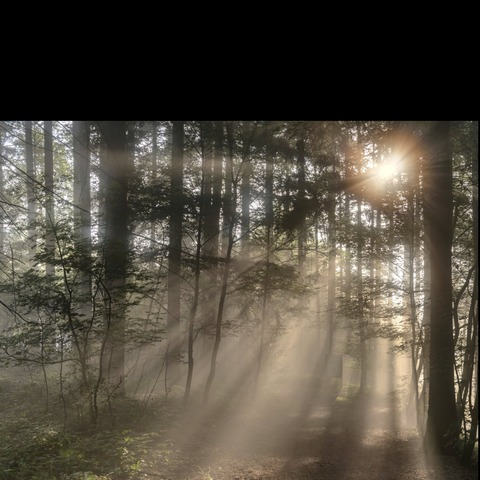 Leaked alexmilller header onlyfans leaked