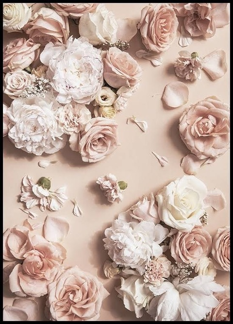 Leaked allabouttits94 header onlyfans leaked