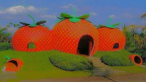 Leaked alliebrooksxxx header onlyfans leaked