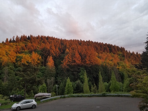 Leaked allyccats header onlyfans leaked