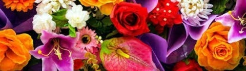 Leaked alyluvsyou header onlyfans leaked