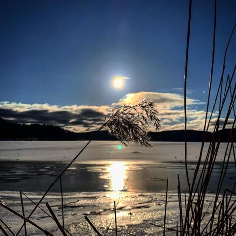 Leaked ami_xoxo header onlyfans leaked