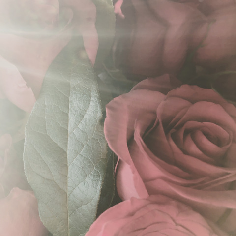 Leaked anal_lina header onlyfans leaked