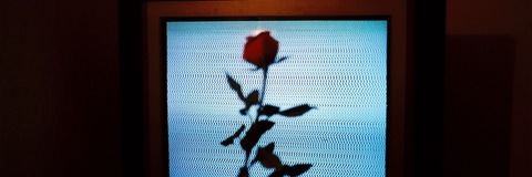 Leaked ang4lf4cetease header onlyfans leaked