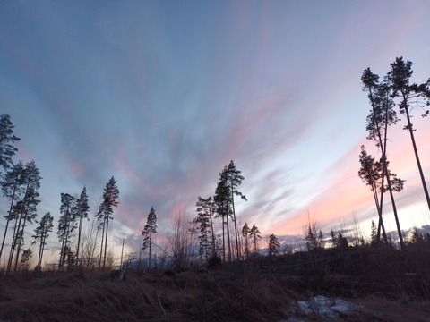 Leaked annfin header onlyfans leaked