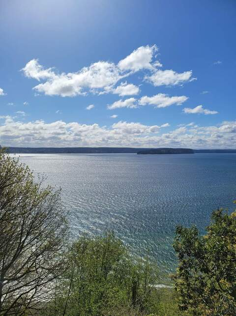 Leaked anythingforselena93 header onlyfans leaked