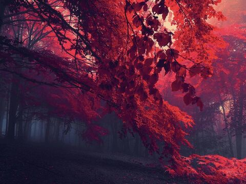 Leaked aphrodyte1337 header onlyfans leaked