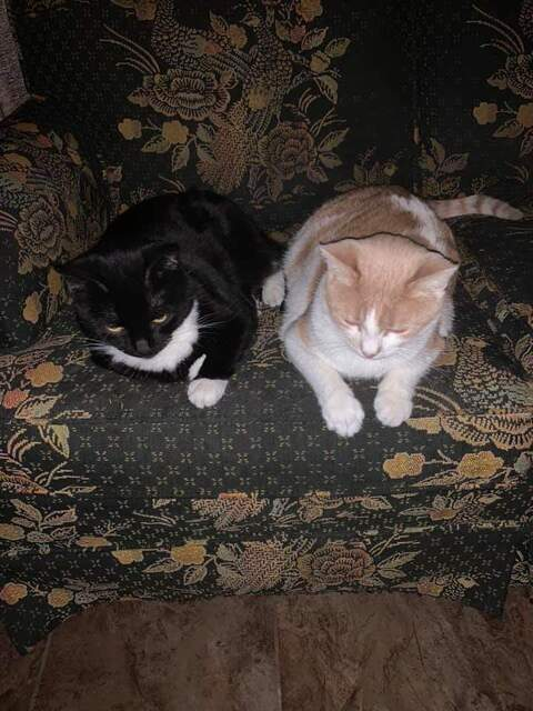 Leaked apinky98 header onlyfans leaked