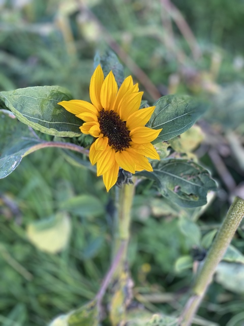 Leaked arbroath header onlyfans leaked