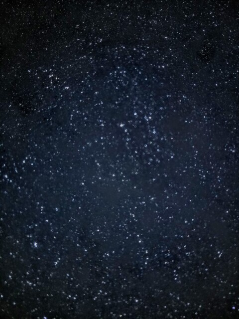 Leaked arcticfox23 header onlyfans leaked