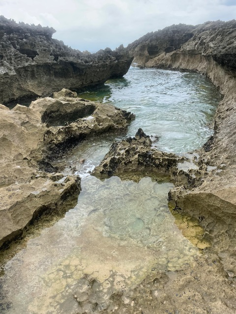 Leaked asapmamiii header onlyfans leaked