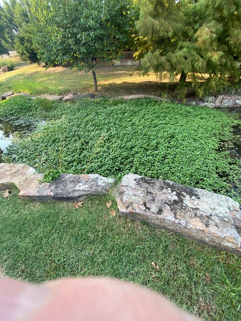 Leaked asslover67883245 header onlyfans leaked