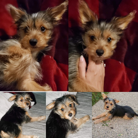 Leaked ath3na header onlyfans leaked