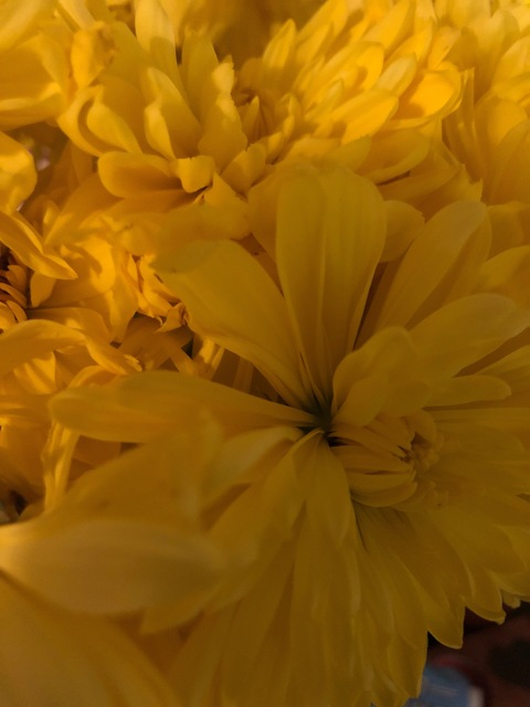 Leaked aubreelee69 header onlyfans leaked