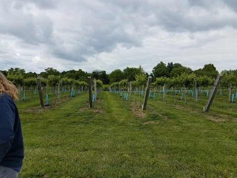 Leaked aubreycosateth header onlyfans leaked