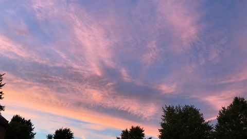 Leaked audi022099 header onlyfans leaked