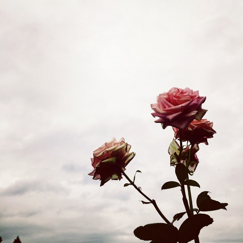 Leaked azadmannan header onlyfans leaked