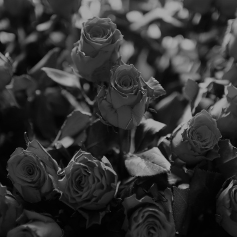 Leaked baby_girl_bunny header onlyfans leaked