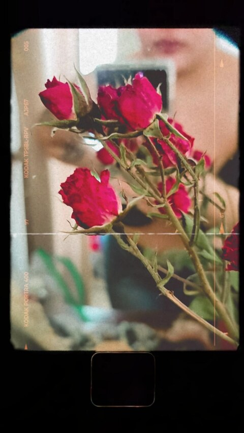 Leaked babycuchillo header onlyfans leaked