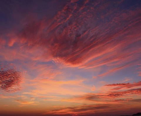 Leaked babygirlally header onlyfans leaked