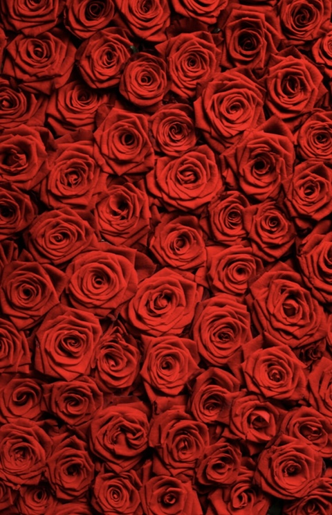 Leaked babytha header onlyfans leaked