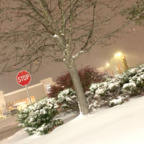 badbitchsummer0316 OnlyFans Leak 

 profile picture