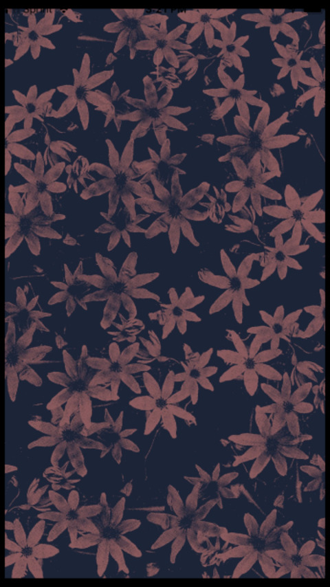 Leaked beankittyuwu header onlyfans leaked