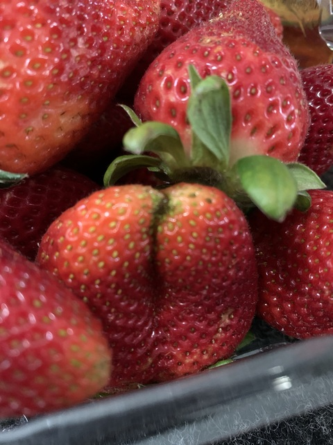 Leaked bearthegoblin header onlyfans leaked