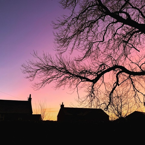 Leaked beetlejuicebooty header onlyfans leaked