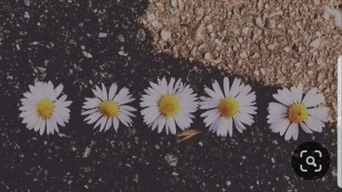 Leaked bendoverbecky header onlyfans leaked