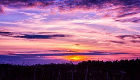 Leaked bethanyann header onlyfans leaked