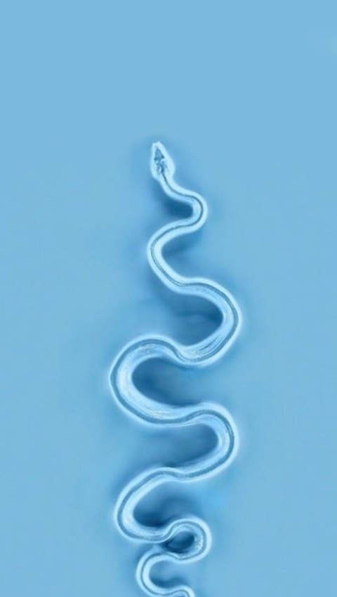 Leaked big_bankk header onlyfans leaked