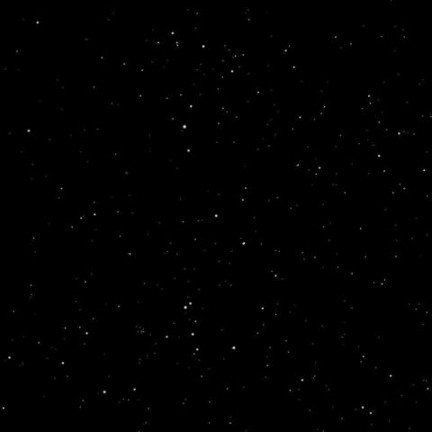 Leaked blacklilrosenm header onlyfans leaked