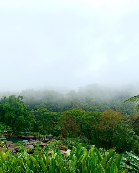 Leaked blondebeauty13 header onlyfans leaked