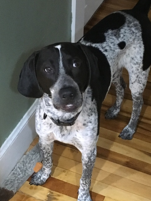 Leaked bowhuntingfreak header onlyfans leaked