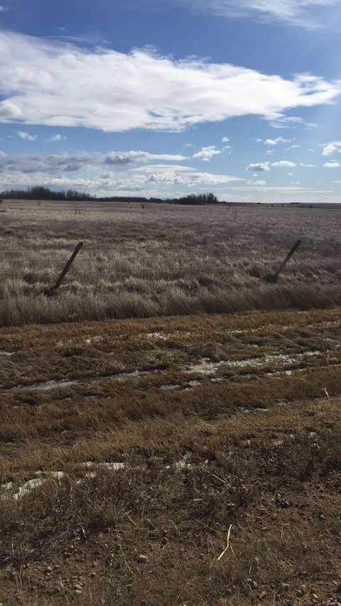 Leaked brewingcindy header onlyfans leaked