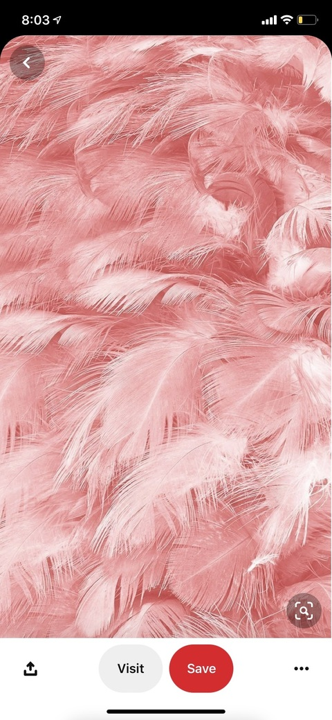 Leaked briijjjja header onlyfans leaked