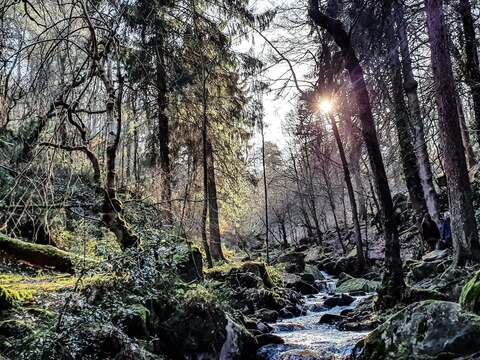 Leaked budandhedonism header onlyfans leaked