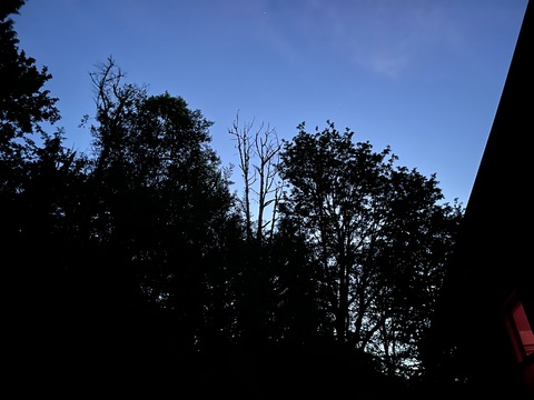 Leaked buffyslife header onlyfans leaked