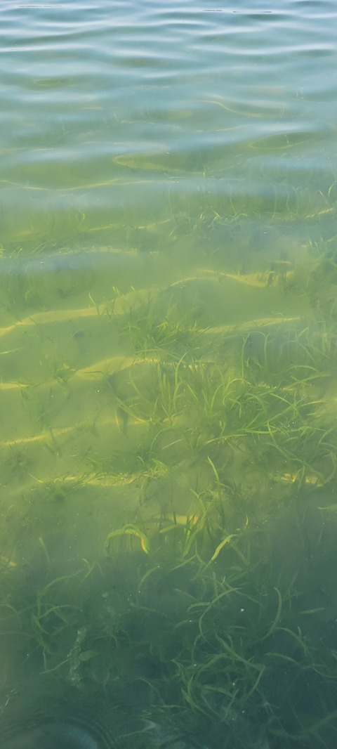 Leaked bummer_summer header onlyfans leaked