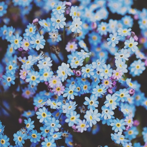 Leaked bunnihuni header onlyfans leaked