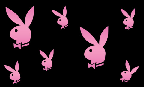 Leaked bunnysister header onlyfans leaked