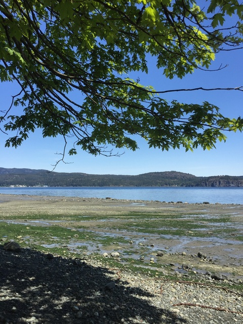 Leaked burtneybaby header onlyfans leaked