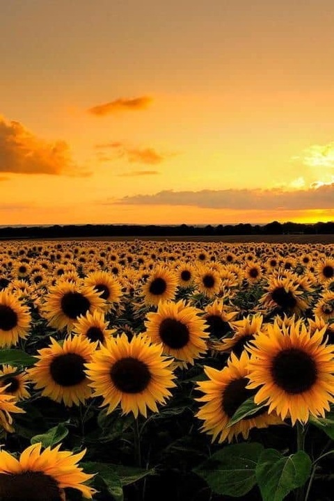 Leaked cambaby420 header onlyfans leaked