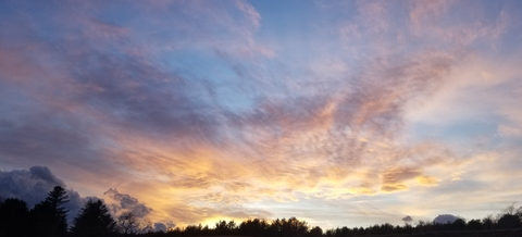 Leaked cannaporn header onlyfans leaked