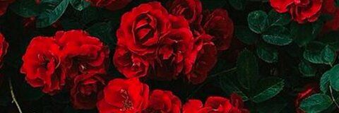 Leaked cashmahknee header onlyfans leaked